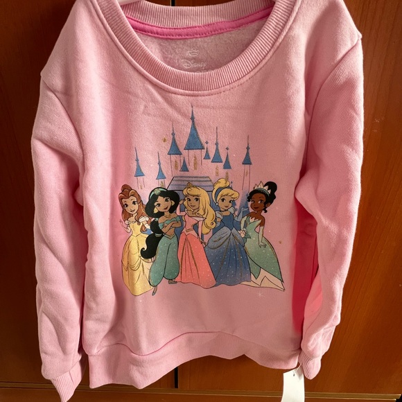 NWT: Disney 5t fleece pink princess long sleeves  sweatshirts with ribbed neck - Picture 1 of 6